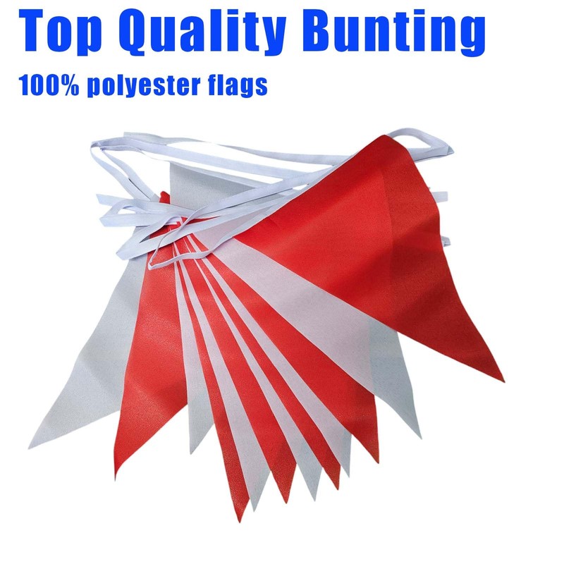 Japan Flag Bunting 5M Triangle Large 12 Flags FlagSuperstore