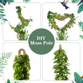 Ledander 2 Pack Moss Pole - 25'' Bendable Monstera Plant Support, DIY Coir Moss Poles for Climbing Creeper Plants, Indoor Plant Accessories for Growth