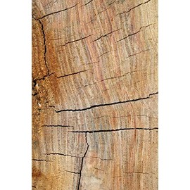 Anniversary Gifts: Anniversary Presents Book Lined Notebook Journal | Anniversary Gifts for Husband or Wife (Wood 9) marriage books