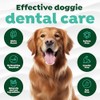 Fresh Breath Clean Teeth Oral Care Gel, 2oz