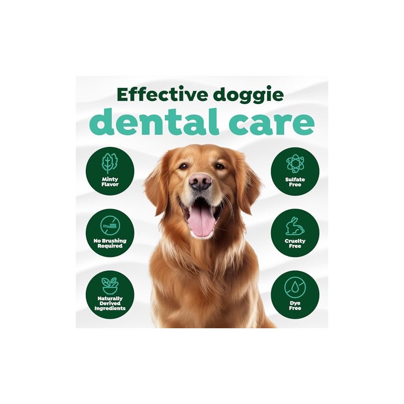 Fresh Breath Clean Teeth Oral Care Gel, 2oz
