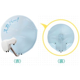 Antenna cover (BS/CS Antenna)