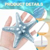 3 Pieces Summer Ocean wooden table sign standing wood Starfish