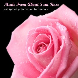 MestectPET Rose Box with 4 Infinity Roses, Pink Eternal Rose Preserved Flowers Gift Box, Valentine's Day, Mother's Day, Birthday, Wedding Anniversary Gifts for Mother, Girlfriend, Wife, Grandma, Women