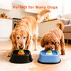 RAINWOOD Liquid Slow Feeder Dog Bowl with Floating Ball, Dog