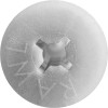 R Rawlplug Caja 100 Tornillos Y Taquetes De Plástico Para