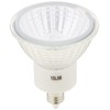 岩崎 ハロゲン電球 JDR110V30WUV/WK/H2/E11 電球色