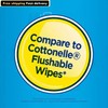 Equate Flushable Wipes, Fresh Scent, 5 packs of 48 wipes,