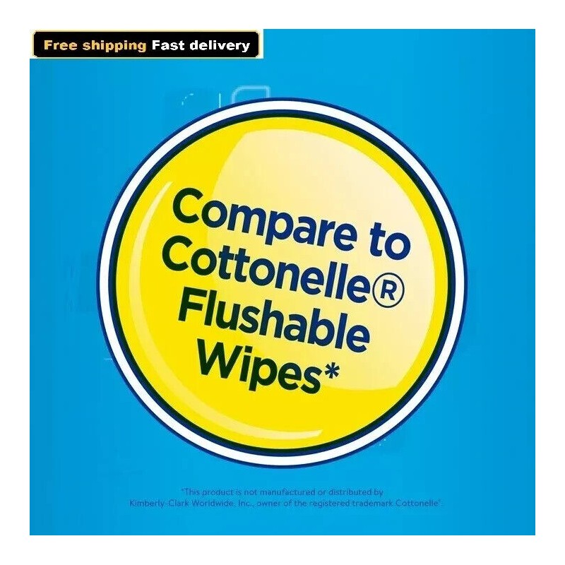 Equate Flushable Wipes, Fresh Scent, 5 packs of 48 wipes,