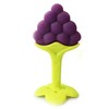 Baby Teething Toys Soothe Gums Silicone Fruit Shape Bright Color
