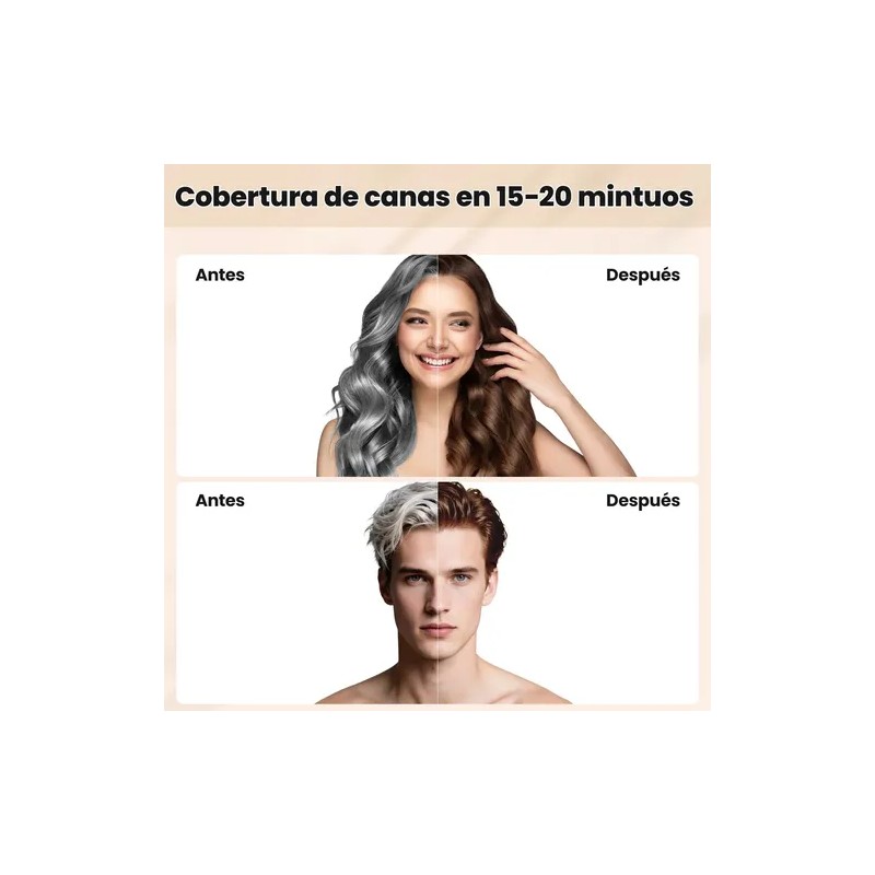Shampoo Con Tinte Hair Dye Natural Jengibre Para Cubre Canas