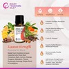 Rocky Mountain Oils Immune Strength Essential Oil Blend - Essential