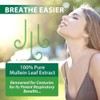 2 Pack Mullein Extract for Lungs Cleanse and Respiratory Support