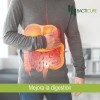Bacticure Probióticos Para El Balance Del Sistema Digestivo. Sabor Sin