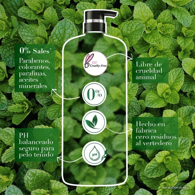 Kit Acondicionador Y Shampoo Té Verde y Menta 1200ml Herbal