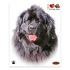 Quattroerre Sticker Newfoundland Dog, 14 x 16 cm