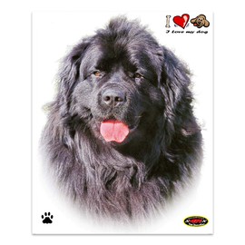 Quattroerre Sticker Newfoundland Dog, 14 x 16 cm