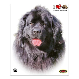 Quattroerre Sticker Newfoundland Dog, 14 x 16 cm