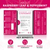 Nutra Tea - Raspberry Leaf & Peppermint Tea - Raspberry