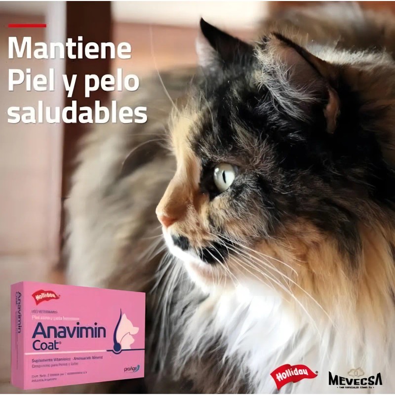 Holliday Anavimin Coat 21 Tabs. Piel Sana Y Pelo Hermoso