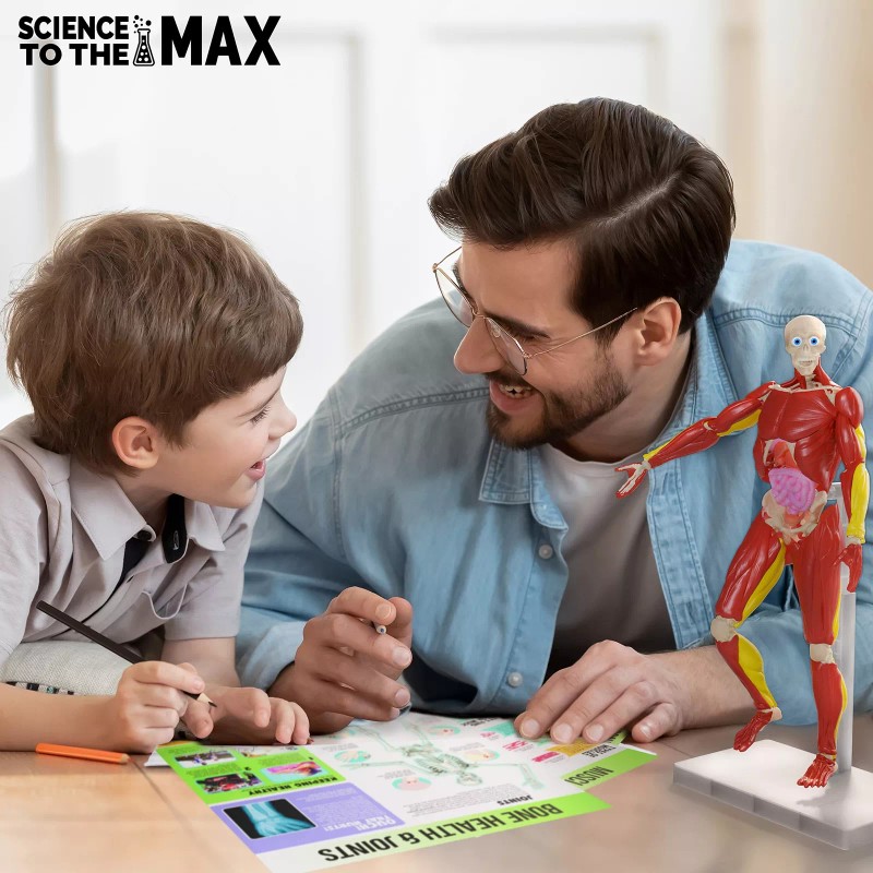 Be Amazing! Toys Interactive 3D Human Body Puzzle Model STEM