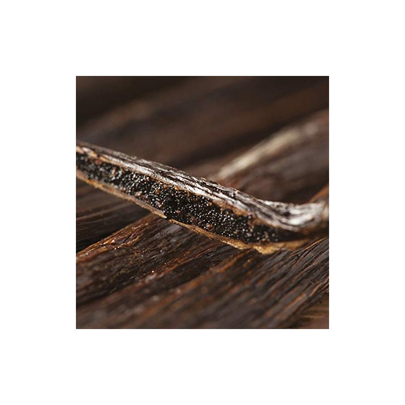 ISLE of Skye Vanilla Fig Travel Container Candle, 1 EA