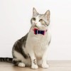BINGPET Dog Collar Bandana Lead Set, Dog Collar, Includes Bell,