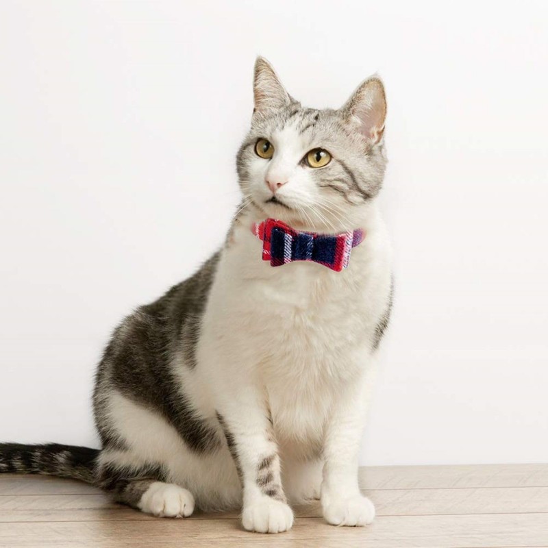 BINGPET Dog Collar Bandana Lead Set, Dog Collar, Includes Bell,