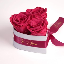 ROSEMARIE SCHULZ Heidelberg Infinity Rose Box Heart - 10 x 12 cm 3 Preserved Roses Durable 3 Years Women - Best Friend Gifts (Ti Amo, Pink)