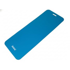 Elite Workout Mat with Handle Color: Blue, Size: 1/2" H x 20" W x 48" D