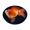 Fancy Goldfish Tank Bubble Eye Goldfish For Sale Ryukin