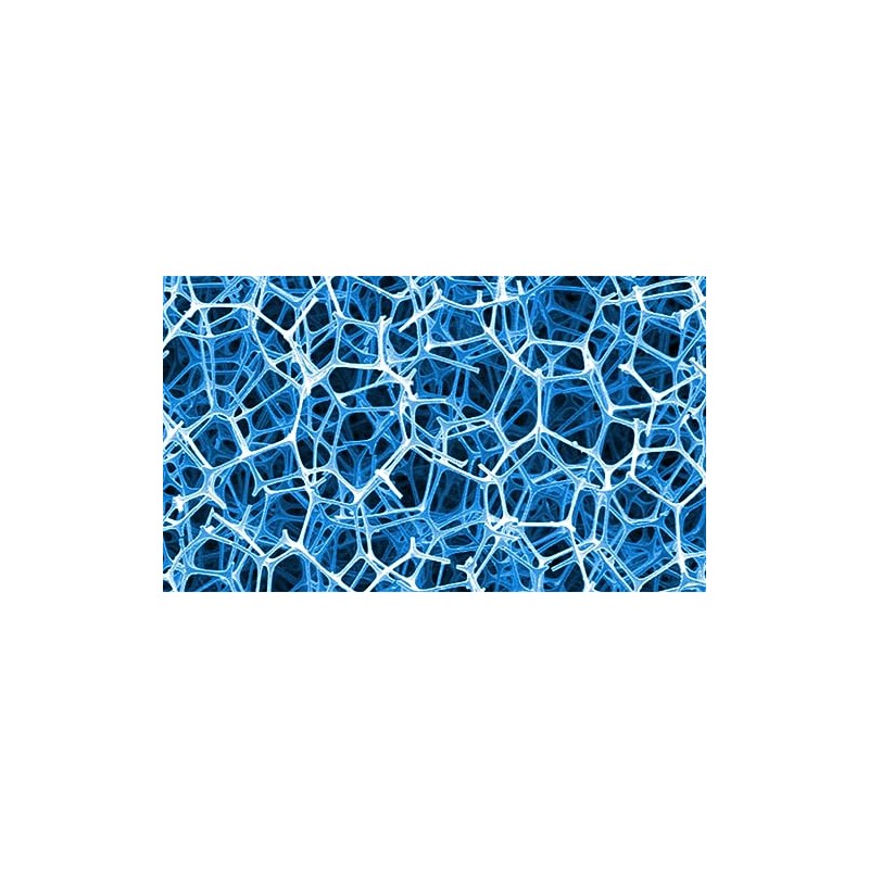 Seachem Duo Algae Pad white 25mm