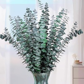 21 Pcs Real Dried Eucalyptus Stems, 17" Natural Fresh Eucalyptus Branches for Shower, Greenery Leaves for Vase Filler, Fragrance, Fresh Silk Dry Live Plants Decor