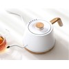 LP Living Plus Modern Electric Gooseneck S/S Kettle, 1200W Quick