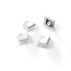 SteelSeries PrismCaps – Double Shot Pudding-style Keycaps – Durable PBT