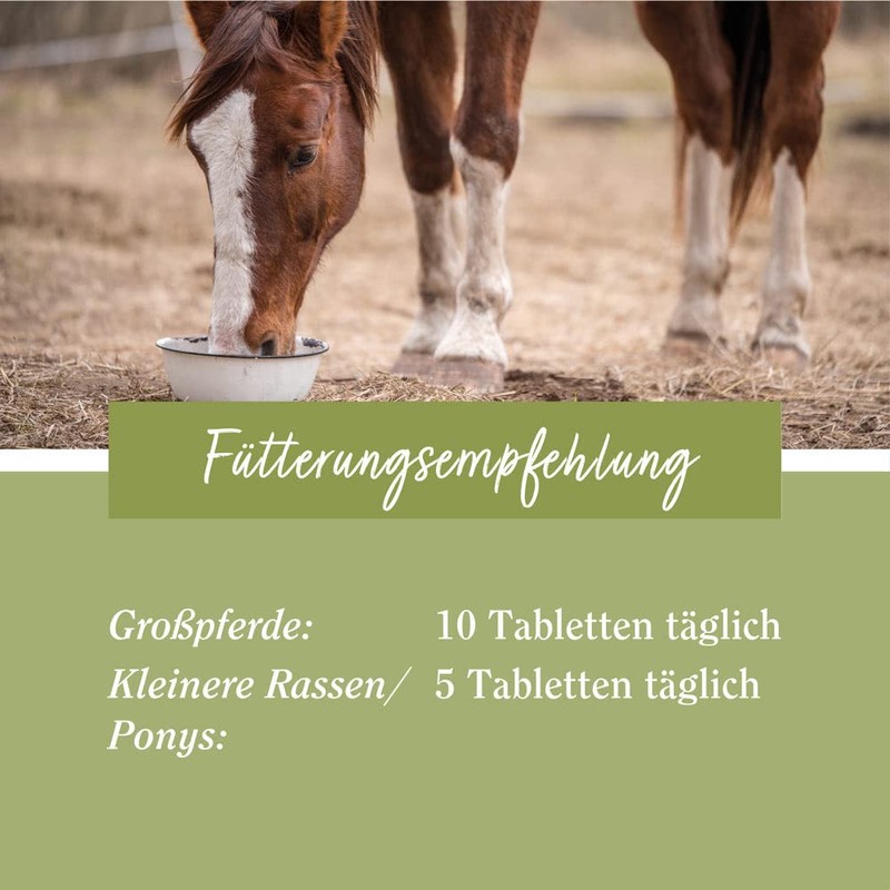 tierlieb Biotin Tablets for Horses, for Hooves, Skin and Coat,