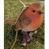 Vivid Arts - Hanging Robin on Branch Home or Garden