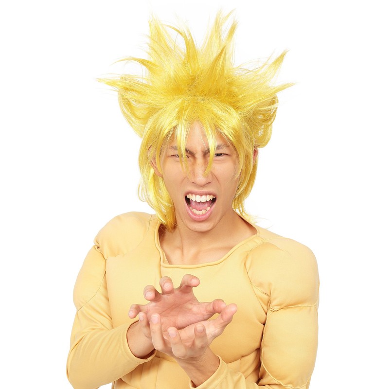 Katsurando Kinpatsu Kun Wig Costume Accessory Unisex