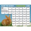 Lazy Snail 'Name the Bunny' Fundraising Cards - Pack of