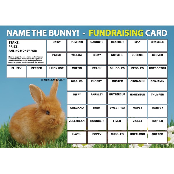 Lazy Snail 'Name the Bunny' Fundraising Cards - Pack of