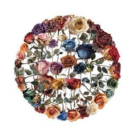 Pack of 50 Transparent Dried Flowers Stickers for Fridge, Laptop, Bicycle, Luggage, Bumper, Cute Plants, Waterproof Vinyl Decal, Adult Gift, Flower Aesthetic Graffiti Stickers