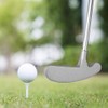 Mingzhe Golf Putting Set With Putter, 2 Balls, Cup for