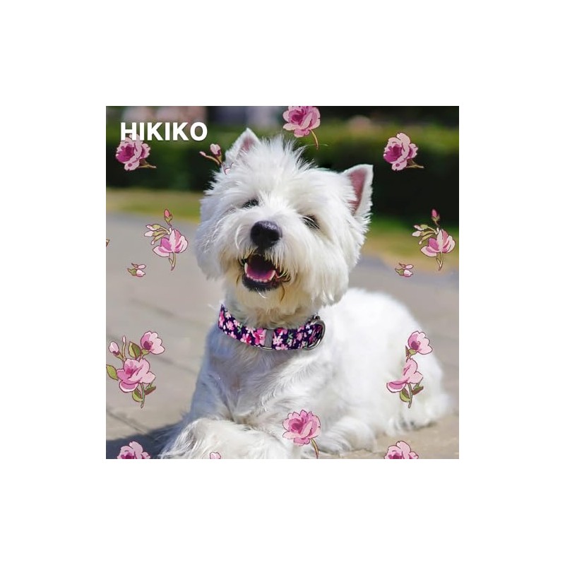 Hikiko - Collar de martingala para perros sin hebilla, collar