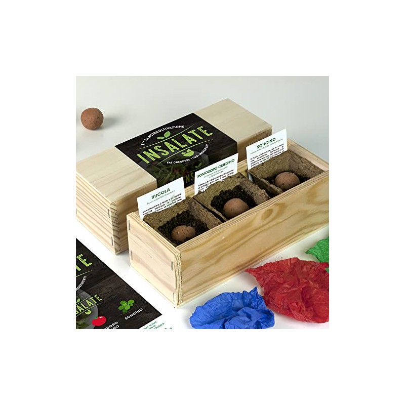 Kit di autocoltivazione Insalate: Rucola, pomodoro ciliegino e soncino.