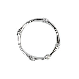 Zenna Home NeverRust - Anillos de Ducha Decorativos de Aluminio inoxidables, Juego de 12, Cromo