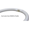 Konideke 5.5 Inch Outside Diameter,T4 12W 6400K Circular Fluorescent Bulb,Replacement