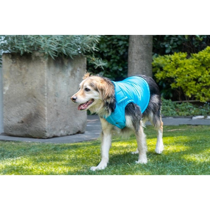 Chaleco Personalizable con el Nombre de su Perro, Abrigador, Suave