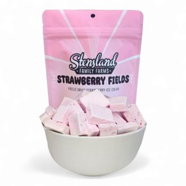 Stensland Freeze Dried Ice Cream (1.5oz) Strawberry, Cotton Candy, Mint Chip. (Strawberry)