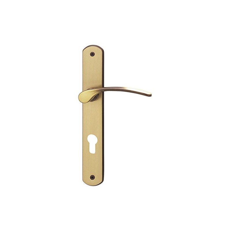 ALPERTEC Door Fittings Amos - Burnished Brass for FRONT DOORS