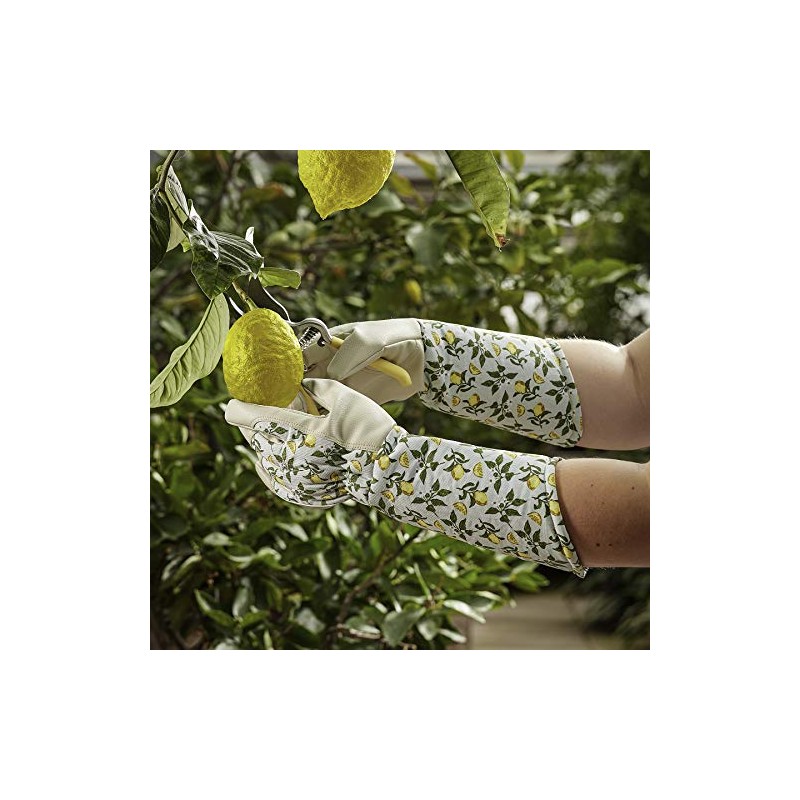 Ladies Sicilian Lemon Gauntlet Gloves